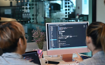 Colleagues watching data in one computer